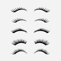 Eyelashes Clipart Set vector