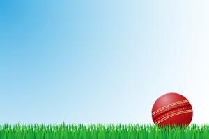 Cricket Tournament Winner Award Card Poster Vector Stock Vector Image Art Alamy