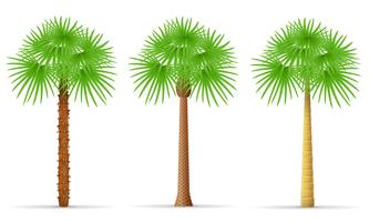 Ilustración de vector de palmera