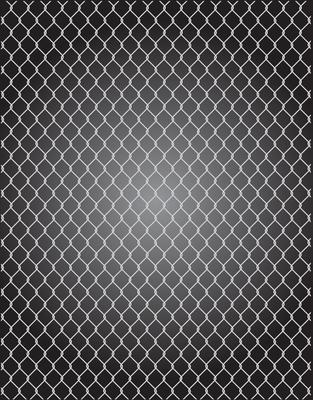 mesh wire for fencing vector