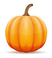 pumpkin vector illustration