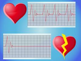 heart rate pulse vector