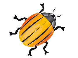 escarabajo colorado vector