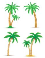 Palm árbol tropical establece iconos vector illustration