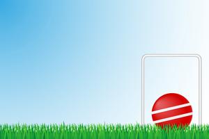 croquet grass field vector illustration