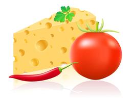 still life with cheese and vegetables vector illustration