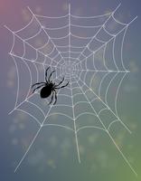 Ilustración de vector de tela de araña
