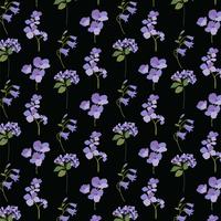 lavanda púrpura botánica sobre negro vector