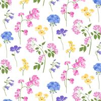 botanical pattern on white background vector