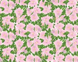 Abstract floral seamless pattern. Summer Flower background. vector