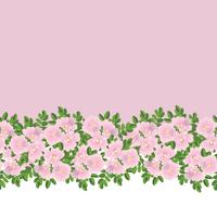 Resumen patrón floral sin fisuras. Fondo de flor de verano. vector