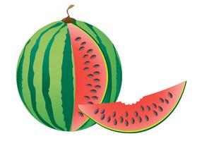 watermelon vector