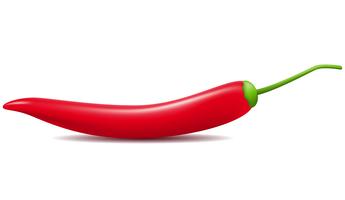 red hot chili pepper vector illustration