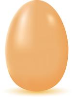 huevo vector