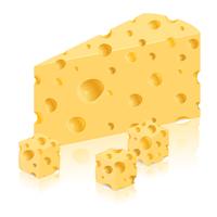 piece of cheese vector illustration