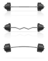 metal barbell for muscle building in gym vector illustration