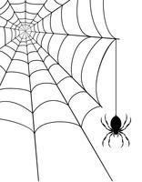 Ilustración de vector stock araña web