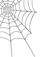 spider web stock vector illustration
