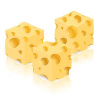 pedazo de ilustración vectorial de queso vector