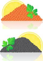 red and black caviar with lemon and parsley vector