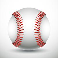 Realistic Baseball vector