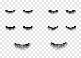 Eyelashes Clipart Vector