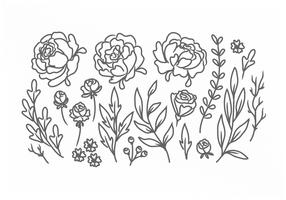 Free Free 77 Flower Outline Svg Free SVG PNG EPS DXF File