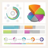 Vector Infographic Illustration