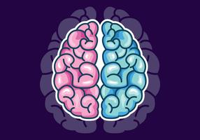 Vector de hemisferios de cerebro humano