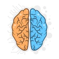 Hand Drawn Human Brain Hemispheres Illustration vector
