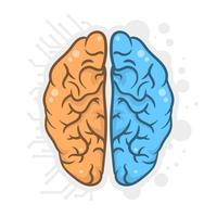 Hand Drawn Human Brain Hemispheres Illustration vector