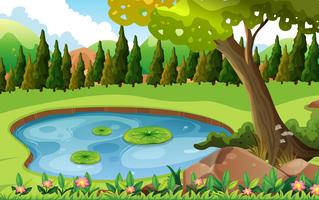 Scene with pond in the field vector
