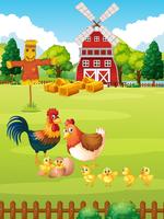 Many chickens on the farm vector