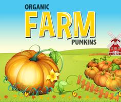 Farm scene with pumpkin garden vector