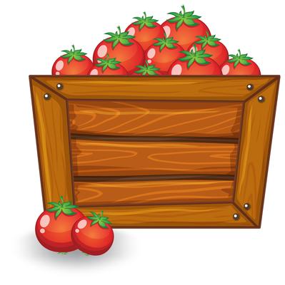 Tomato on wooden board