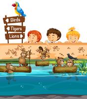Kids looing at beavers in the zoo vector