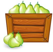 Pear in empty banner vector