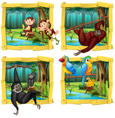 Wild animals in wooden frame