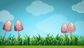 Scene with mushroom in the field vector