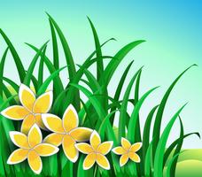 A garden with big yellow flowers vector