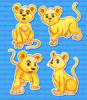 Lion set vector