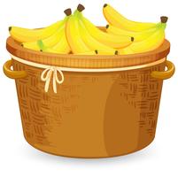Banana in the basket vector