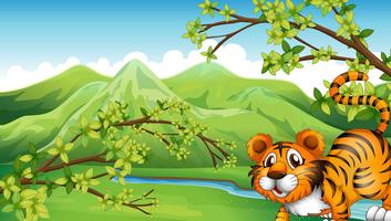 A tiger with a mountain view at the back vector