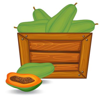 Papaya on wooden banner