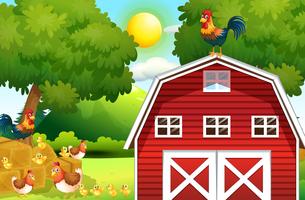 Farm scene with chickens on the barn vector