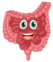 A happy healthy intestine