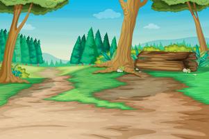 Forest path vector