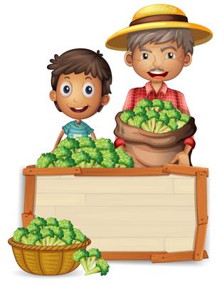 Farmer holding broccoli on banner