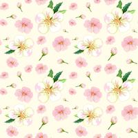 Cherry blossom seamless pattern vector