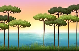Nature scene with trees and water vector